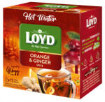 LOYD piramis HOT WINTER tea narancs-gyömbér (puncs) 45g