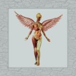 UNIVERSAL Nirvana - In Utero (8lp, 30th Anniversary Super Deluxe Edition) (5517821)