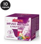 ristora 10 Capsule Ristora Ceai Afine si Fructe Mixte - Compatibile Dolce Gusto