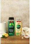 Radox Refreshment Menthol And Citrus 3-in-1 Shower Gel gel de duș 450 ml pentru bărbați