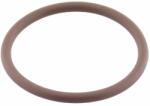 Oring Uszczelnienia Techniczne Garnitura O-ring, FPM, 24mm, 01-0024.00X2 ORING 75FPM BROWN
