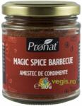 PRONAT Amestec de Condimente Magic Spice Barbecue 110g