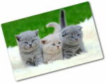  Wallmuralia. hu Üveg vágódeszka Három macskát egy takaró 2x40x52 cm
