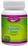 Indian Herbal Vigotone Indian Herbal, 120 comprimate