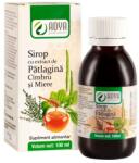 Adya Green Pharma Sirop cu Extract de Patlagina, Cimbru si Miere Adya Green Pharma, 100 ml