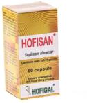 Hofigal Hofisan Hofigal, 60 capsule