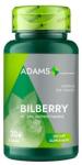 Adams Supplements Extract de Afin 500 mg Adams Supplements Bilberry Vision & Eye Health, 30 capsule