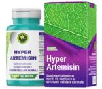Hypericum Plant Hyper Artemisin - Hypericum, 60 capsule