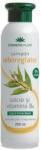 Cosmetic Plant Sampon Seboreglator cu Salcie si Vitamina B6 Cosmetic Plant, 250ml