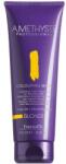 FarmaVita Masca de Par Coloranta - FarmaVita Amethyste Professional Colouring Mask, nuanta Blonde, 250 ml