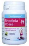 Bio-Synergie Rhodiola Rosea Bio-Synergie, 60 capsule