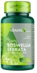 Adams Supplements Extract Tamaie Boswellia Serrata Adams Supplements, 30 capsule