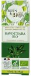 Born to Bio Ulei Esential de Ravintasera Bio - Born to Bio Organic Essential Oil Ravintsara Bio, 10ml