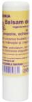 FAVISAN Balsam de Buze cu Propolis Virginia Favisan, 5ml