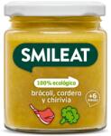 Piure Bio cu brocoli, pastarnac, miel si ulei masline, +6 luni, 230 g, Smileat