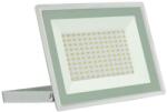 Wojnarowscy Proiector LED de exterior NOCTIS LUX 3 LED/100W/230V 4000K IP65 alb (WJ0408)