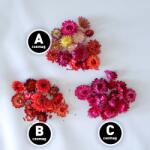 Penta Collection Dekorációs célokra felhasználható szárazvirág - Szalmavirág (többféle)