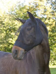 Covalliero FinoStretch mască anti-muște bine ajustată pentru ponei (Negru)
