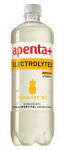 Apenta Electrolytes Ananász 0, 75l