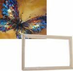 Gaira Cu cadru fără pânză întinsă Fluture 2 (M992223ZM-SET) Carte de colorat