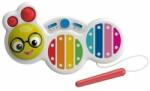 Baby Einstein Jucărie muzicală cu xilofon Cal's Curious Keys 12m+ (AGS12927-4)
