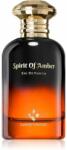 Luxury Concept Spirit of Amber EDP 100 ml Parfum