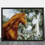 Pictorul Fericit Pair of horses - Pictură pe numere Panza pictura