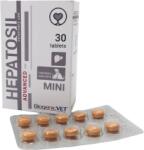 BiogenicVet Hepatosil Advanced Mini tabletta 30x - dogmopharm