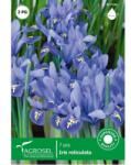 Agrosel Iris Reticulata - 7 bulbi