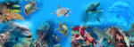 Eosette Sticker 3D pentru Podea - Delfini si Pesti in Mare - eosette - 70,00 RON