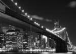 AG Fototapet Brooklyn Bridge FTS 1305