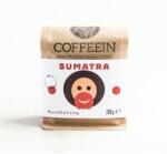 COFFEEIN Szumátra Mandheling szemes kávé, 200 g (123Coffeein)