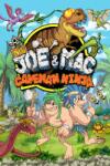Microids New Joe & Mac Caveman Ninja (PC)
