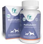 Petamin Multivitamin táplálékkiegészítő tabletta 60x