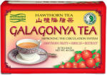 Dr. Chen Patika Dr. Chen Galagonya tea - 20 db