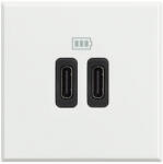 Legrand Priza USB tip C dubla 5V 3000mA Axolute Bticino 2M alb HD4286C2 (HD4286C2)