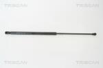 TRISCAN Amortizor capota TRISCAN 8710 18100 (8710 18100) - automobilus