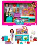 Mattel Barbie Chelsea Veterinară - set de joacă (HGT12) (HGT12) Papusa
