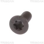 TRISCAN Surub, disc frana TRISCAN 8105 11667 (8105 11667) - automobilus
