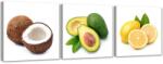 Gario Vászonképek készlet Egzotikus gyümölcsök - 3 részes Méret: 90 x 30 cm