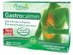 NATURALIS Gastrocalmin, 30 comprimate