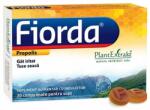 PlantExtrakt Fiorda propolis, 30 comprimate