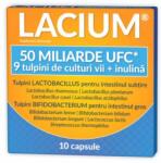 Zdrovit Lacium 50 miliarde UCF, 10 capsule, flora intestinala