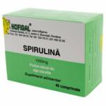 Hofigal Spirulina 1000mg, 40 comprimate