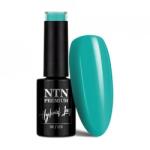 NTN Premium Oja semipermanenta Ntn Premium Design Your Style Collection 43, 5g