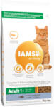 Iams 3kg IAMS Advanced Nutrition Adult Cat tonhal száraz macskatáp 10% kedvezménnyel