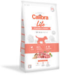 Calibra Dog Life Starter and Puppy Lamb 12 kg (C79)