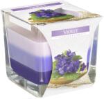 BISPOL Lumânare parfumată Bispol Aura - Violet, 170 g (snk80-131)