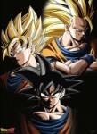 GB eye Animation Mini Poster: Dragon Ball Z - Goku Transformations (GBYDCO092)