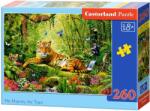 Castorland Puzzle Castorland din 260 de piese - Măreția lui - Tigru (В-27569-1) Puzzle